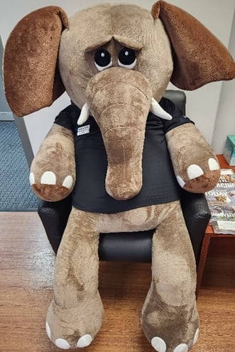 C.h.a.r.l.i.e. the Elephant