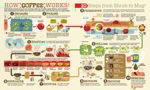 from-bean-to-brew-the-coffee-supply-chain