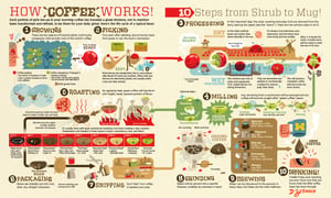 from-bean-to-brew-the-coffee-supply-chain