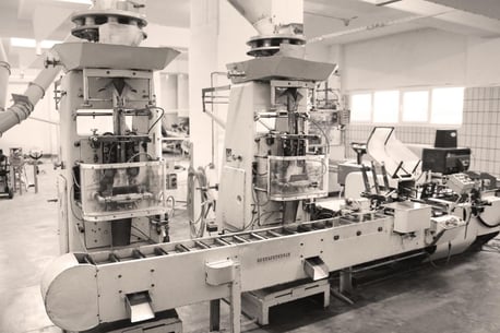 Auditing packaging machines 