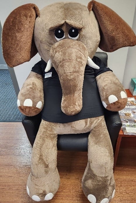 CHARLIE the elephant embodies Rovema’s promise of customer-centric packaging solutions for CPG brands.